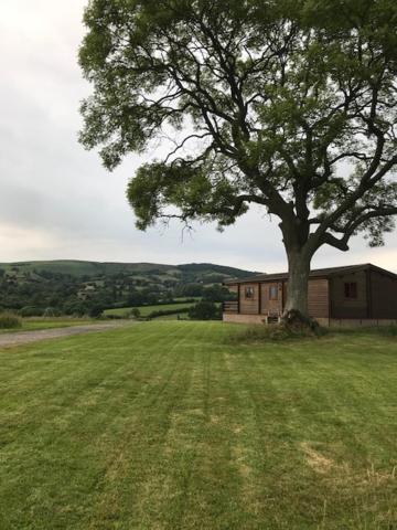 Redwood Lodge Лъдлоу Екстериор снимка