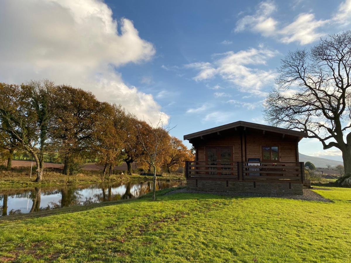 Redwood Lodge Лъдлоу Екстериор снимка